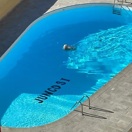 Juncos I San Bartolome de Tirajana (Gran Canaria)